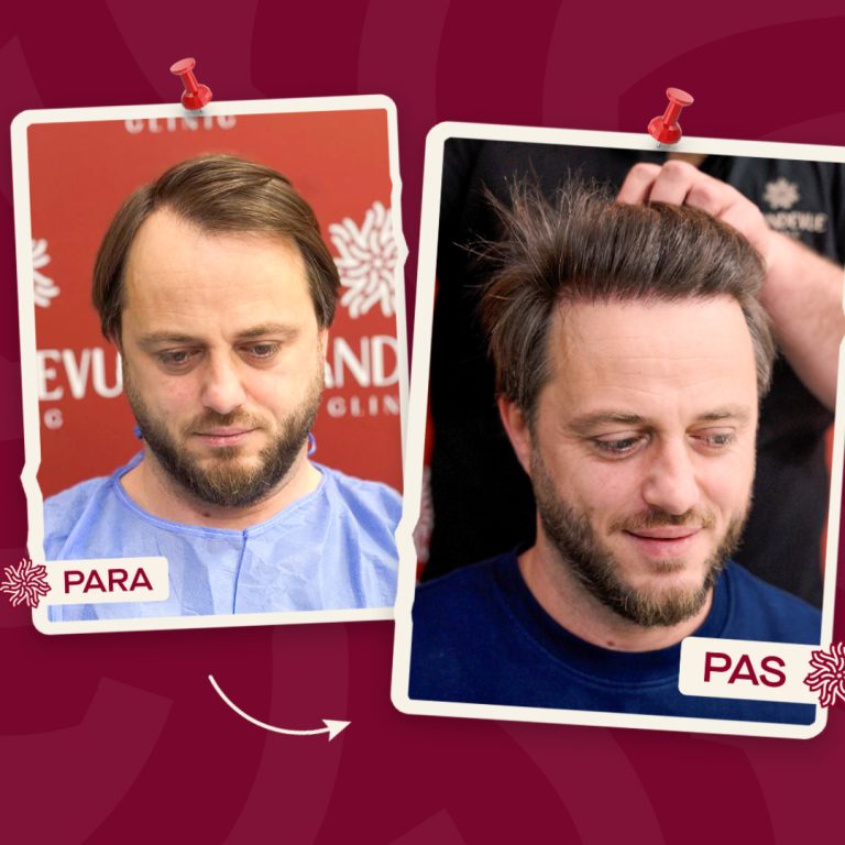 Landscape.00_00_14_05.Still002